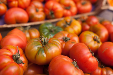 fresh tomatoes on branch in wicker baskets on counter