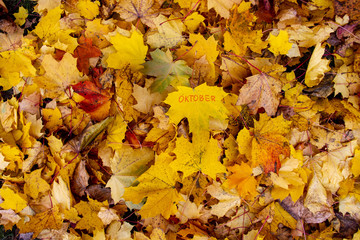 The word October is written in felt-tip pen on an orange maple leaf. Autumn month. Yellow leaves fell from the trees.