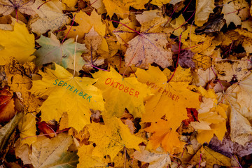 The words September, October, November are written in felt-tip pen on an orange maple leaf. Autumn...