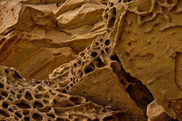 close up sandstone texture background with small eroded caverns. Background on theme geology