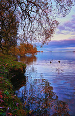 Obraz premium Colorful trees are reflected in the blue Lake Schwerin.