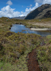 Fototapeta na wymiar La Laguna Carpa - Tantamayo, Huánuco Peru Lake and mountains Andes