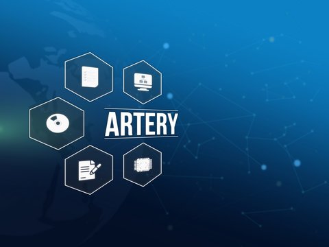 Artery