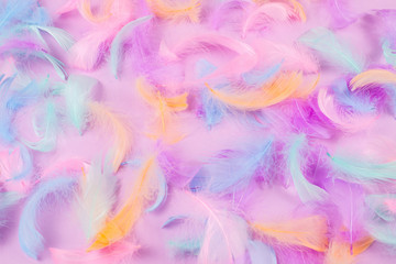 Naklejka na ściany i meble Colorful feather background