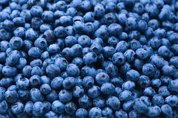 Fresh blueberry background. Texture blueberry berries close up.