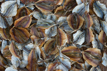 Dried small fishes for sell in southern Thailand.  They are good for frying.