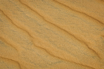 Dune desert in Senegal. Africa.