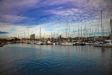 Fototapeta na wymiar marina in Barcelona