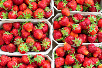 Red ripe juice fresh organic strawberry packed in eco friendly paper cardboard boxed at wholesale storage market for transportation and shipping export and import. Nutritious healthy berry diet food
