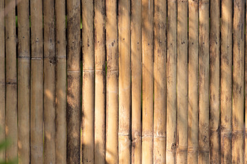 bamboo fence background and texture. light and shadow on bamboo wall in garden.