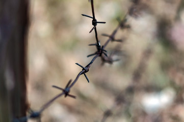 Obraz premium Old wooden post with rusty barbed wire in the forest, photographed close-up