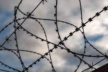 Barbed wire fence against the sky on a spring day, closeup photo