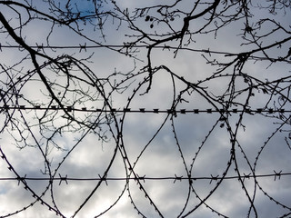 Barbed wire fence against the sky on a spring day, closeup photo