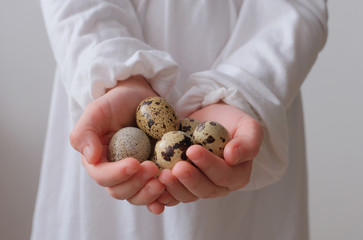 Quail eggs in hands of little girl in white dress