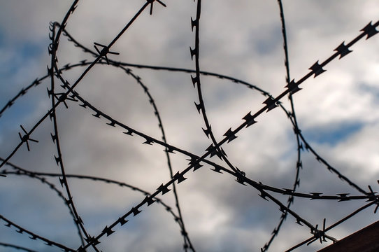 Barbed wire fence against the sky on a spring day, closeup photo