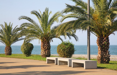 Fototapeta premium Seafront promenade in Batumi. Autonomous Republic of Adjara. Georgia