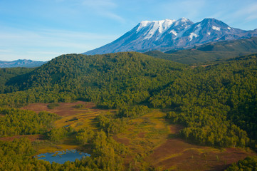 Fototapeta premium View of the forest and volcanoes, Kamchatka.