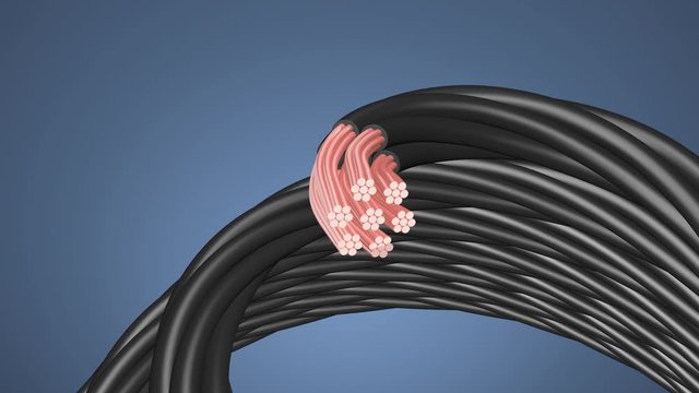 Presentation of a cable for an electrical connection. Steel copper wire in a plastic sheath.