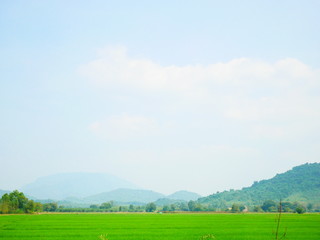 sky lanscape field green 