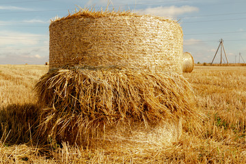 Hay bale in a field torn in the middle.