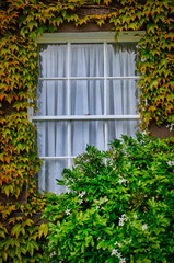 Idyllic window in the English countryside