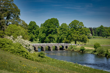 Fototapeta na wymiar Bridge in idyllic landscape in the English countryside