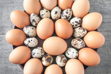 Chicken and quail eggs are laid out in rows in a geometric circle.