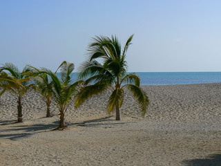The beautiful beaches and coastline of Varadero, Cuba