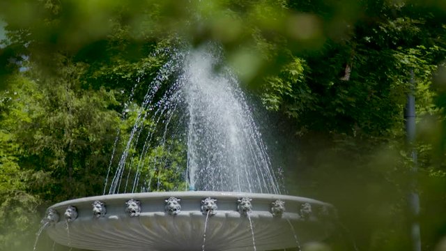 Artesian Fountain In The Park On A Hot Summer Day
