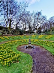 Sundial and daffodils 