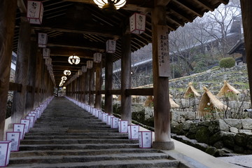 灯篭が灯る長谷寺（奈良）の登廊　背景に牡丹の雪囲い　Hase-dera Temple...
