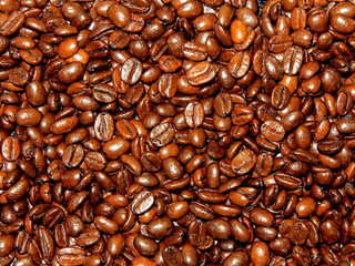 coffee beans background