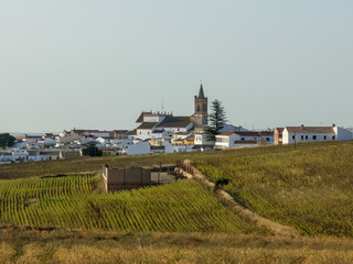 Paisaje con campo de sembrado y pueblecito al fondo