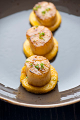 Scallops. Sea Scallops seared in brown butter sauce and garnished with a lemon sauce. 