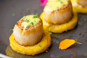 Scallops. Sea Scallops seared in brown butter sauce and garnished with a lemon sauce. 