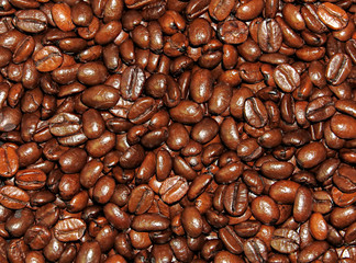 coffee beans background