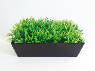 Front view of artificial grass in pot isolated on white background. Artificial Green Plants in Flower Pots for Home and Office Decoration without The Care.