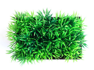 Aerial view of artificial grass in pot isolated on white background. Artificial Green Plants in Flower Pots for Home and Office Decoration without The Care.