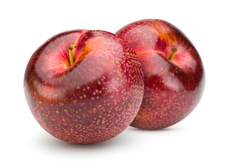 Red plum isolated on white with clipping path.