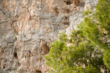 two rock wall climbers, rock climbing, with trees