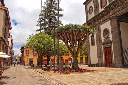 Fototapeta  place landscapes with old historic tenements and streets in the former capital of the Spanish Canary Island Tenerife San Cristóbal de La Laguna