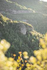 Hiking vacation / forest adventure