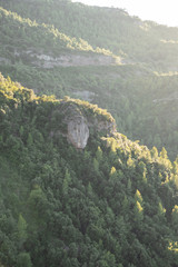 Hiking vacation / forest adventure