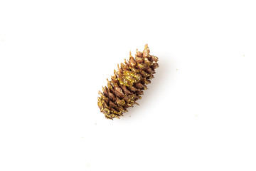 Christmas Pinecone
