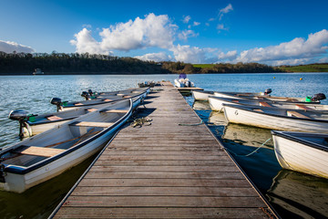 Leisure rowing boats tied and  moored to a jetty in a lake in Wales United Kingdom