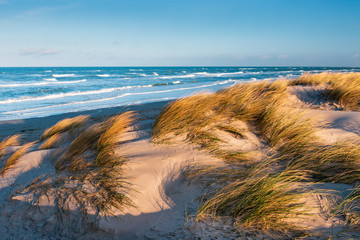 Burzowy i słoneczny zimowy dzień nad Bałtykiem, wydmy z trawą plażową nad morzem