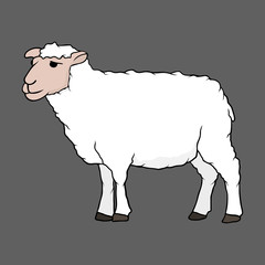 Sheep. One of the symbols of farm, country and village. Template for icon, sticker or part of garland. Vector illustration.