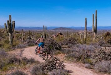Rider On Mountain Bike Trail In Scottsdale, AZ