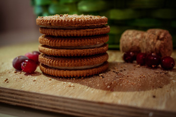 cookies with chocolate