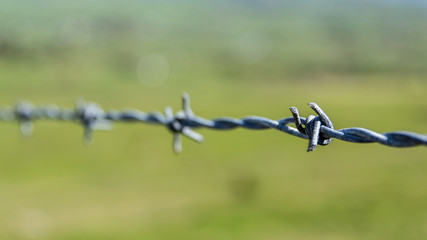 Barded wire